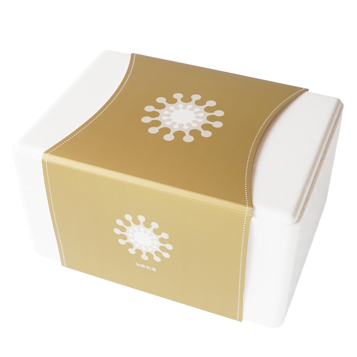 加勢牧場 ガンジーアイスクリーム 食べ比べ ギフトセット〔ストロベリー ほか全5種 各90ml×2〕