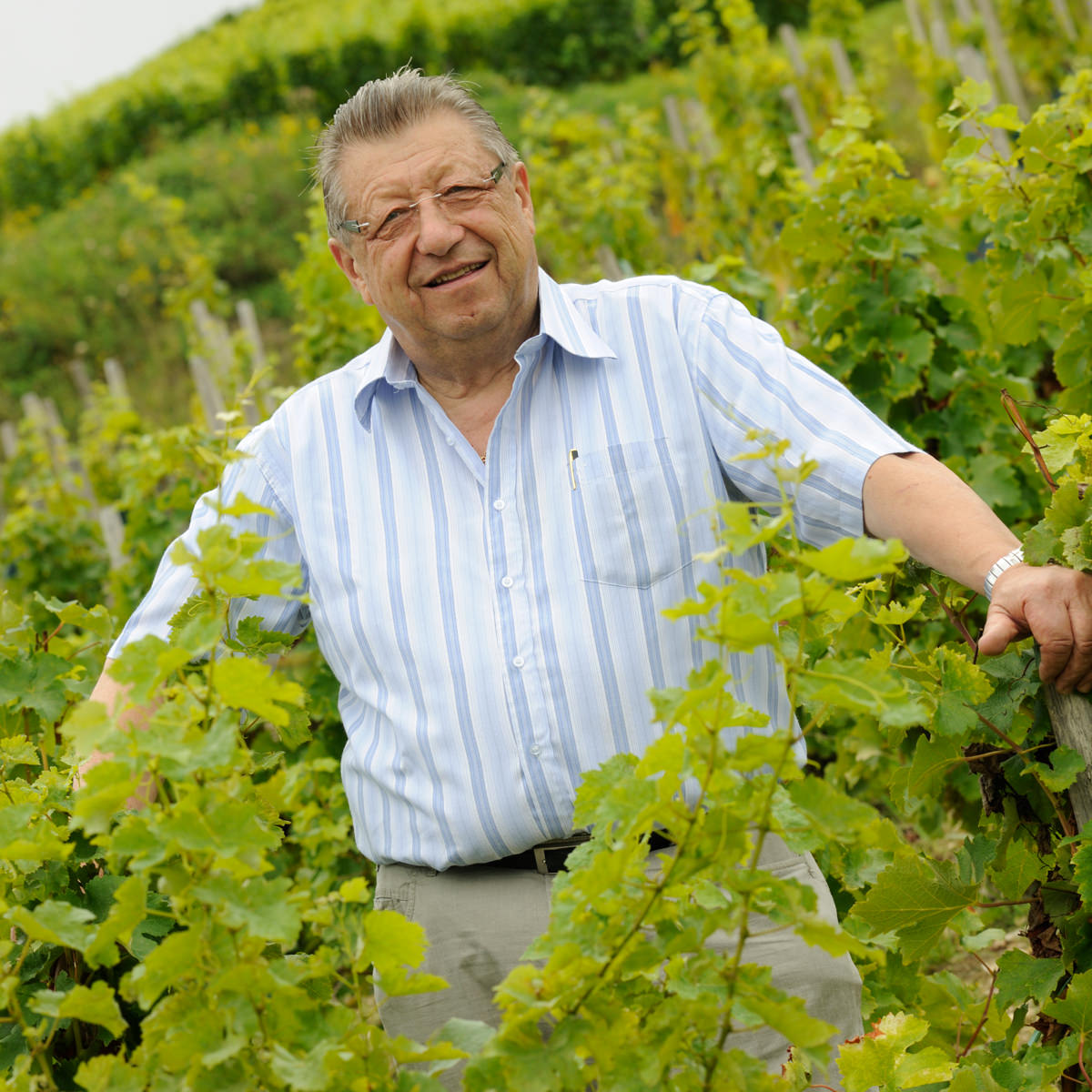 ドメーヌ・ラポルト サンセール・ル・ロショワ・ブラン〔750ml〕