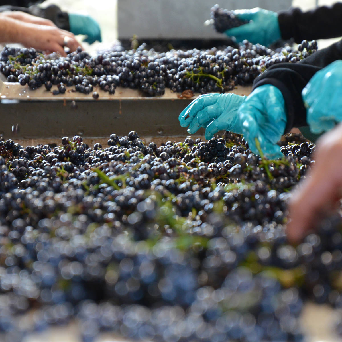 ドメーヌ・ラポルト サンセール・レ・グランモンタン・ロゼ〔750ml〕