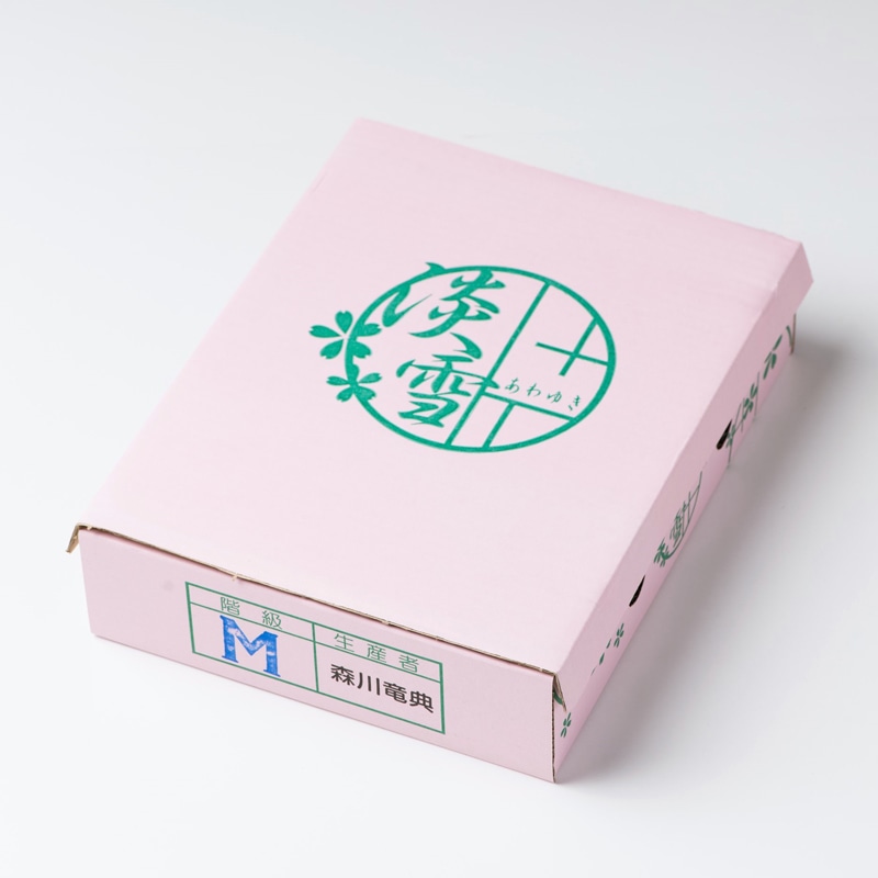 希少 冷凍 白いちご 淡雪 熊本県産〔1kg×1パック〕