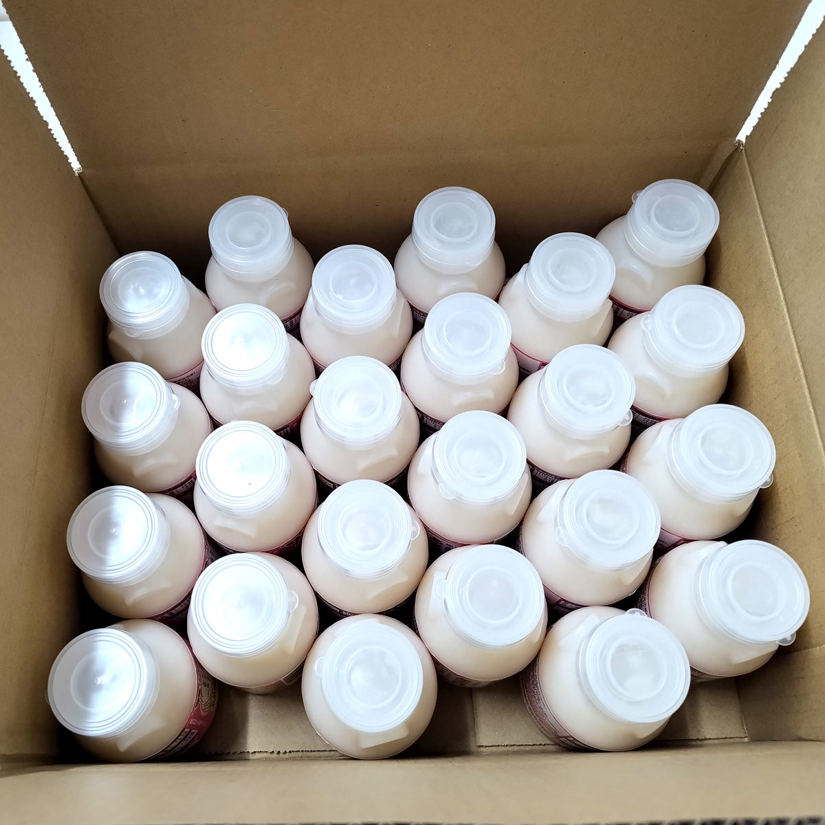 シールド乳酸菌入 あまざけ 〔160g×24本〕