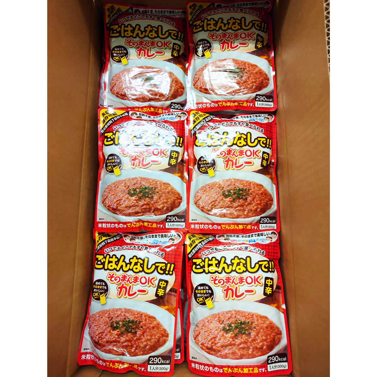 長期保存 レトルト そのまんまOKカレー 中辛 〔300g×30袋〕【北海道・沖縄県・離島 配送不可】