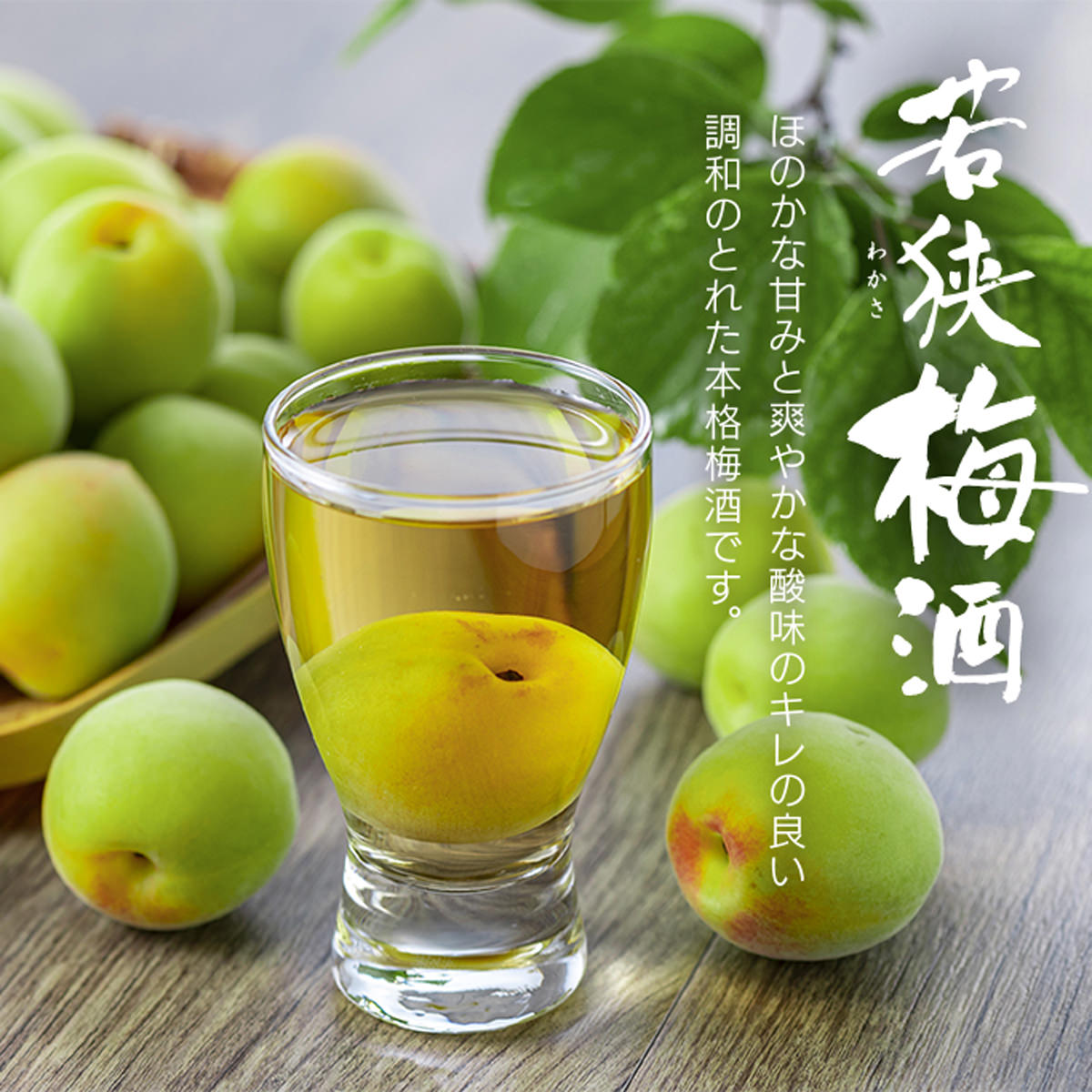 若狭梅酒 ギフトセット 〔若狭梅酒500ml、レモングラス梅酒500ml〕