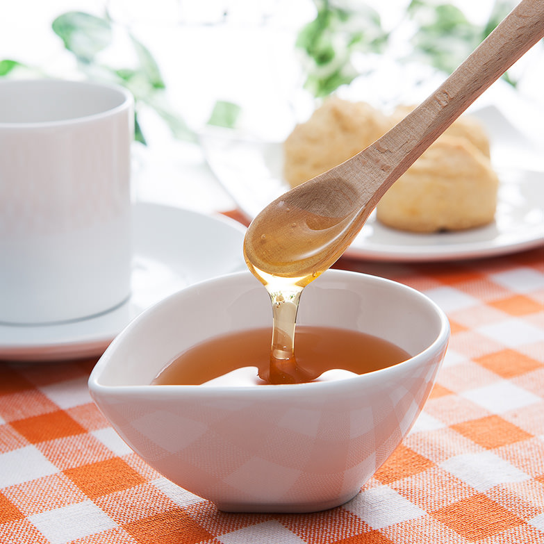 蜂蜜(550g2本セット) 森下友蜂堂 富山県 皇室献上品。トチの花を蜜源とする芳醇な香りと甘みのある蜂蜜です