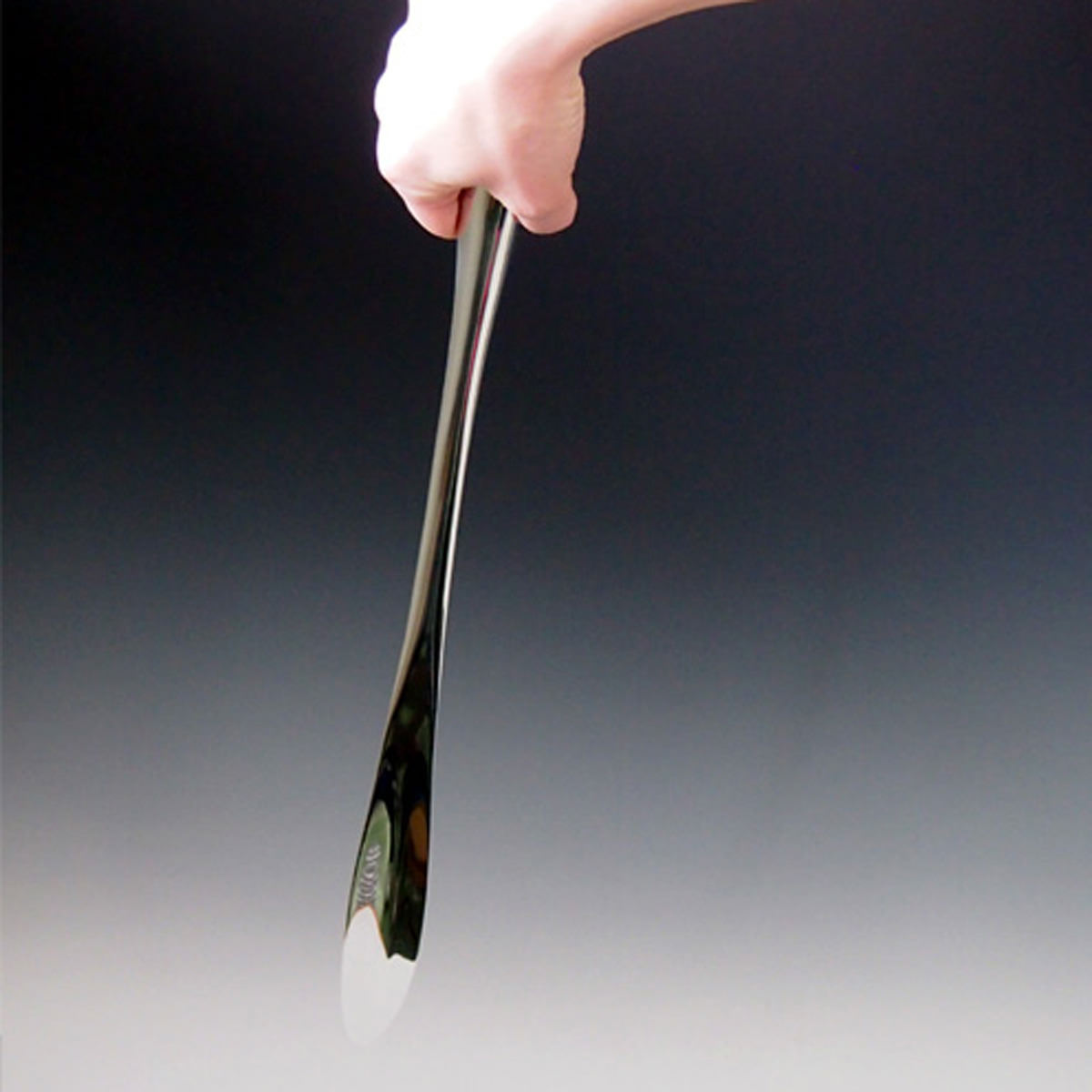 aquarium 靴べら シューホーン 〔240g(W47.5×D3.3×H3.8cm)〕