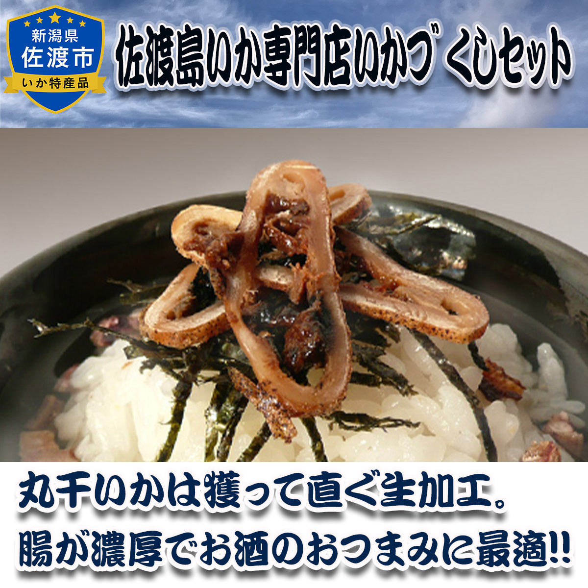 佐渡 朝どれ 生いか使用 丸干しいか 〔約120g(3~4本入)〕【北海道・九州地方・沖縄県・離島 配送不可】