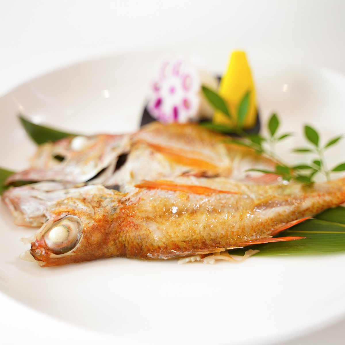 一日漁 のどぐろ 一夜干し 天日塩 岡富商店〔5~6枚 計410g〕