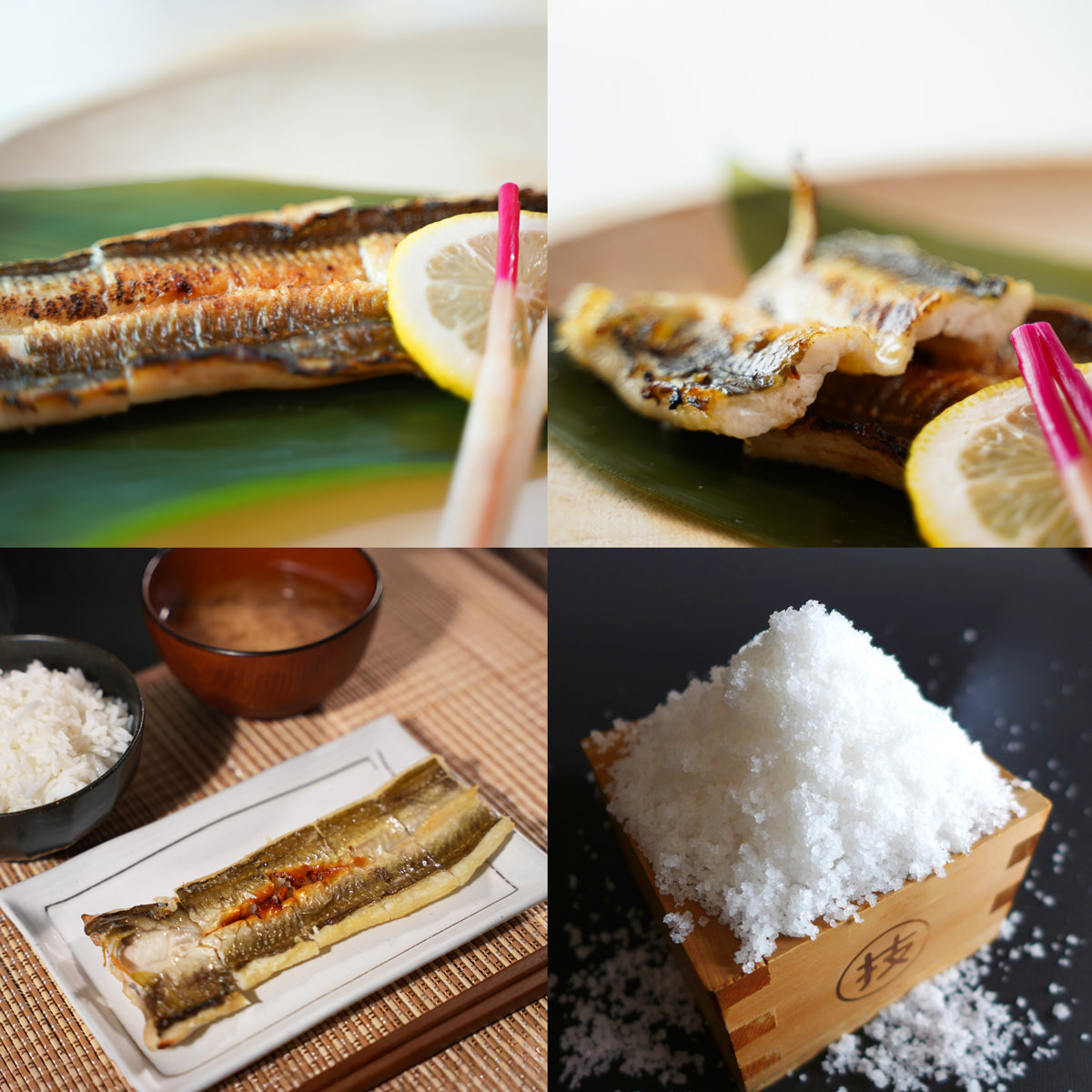 天女の羽衣 あなご 一夜干し 詰め合わせ 岡富商店〔250g×2尾〕