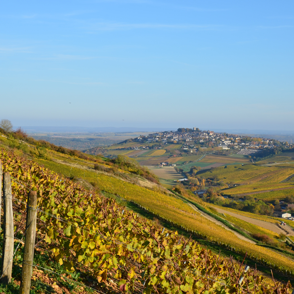 ドメーヌ・ラポルト サンセール・レ・グランモンタン・ロゼ〔750ml〕