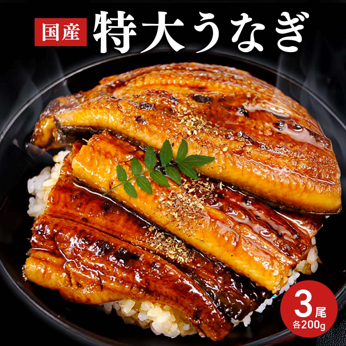 九州産  特大うなぎ蒲焼　3尾（1尾200g）箱なし