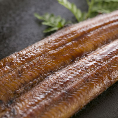 うなぎ屋きた本　うなぎ蒲焼きセット（4人前）　有限会社北本養鰻場　高知県　予約殺到の人気うなぎ店の蒲焼きをお届け。