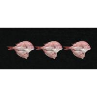 天草天然真鯛ささ塩干