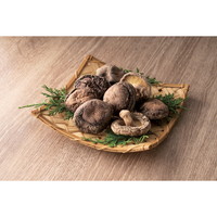 大分産椎茸こうしん