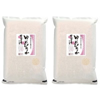北海道産 ゆめぴりか