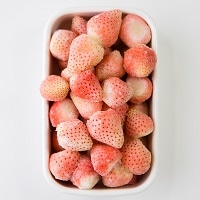 希少 冷凍 白いちご 淡雪 熊本県産〔1kg×1パック〕