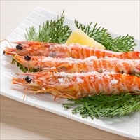 車海老 活〆生冷凍 〔約250g(6～15尾)×2袋〕【沖縄県・離島 配送不可】