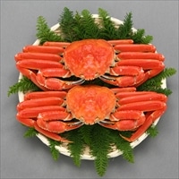 冷凍 ずわい蟹 2杯 〔500g×2〕［沖縄県・離島 配送不可］