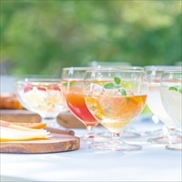 梅酒 ishigami ＆ ミニボトル 4種 飲み比べ 〔うめ・桃ジンジャー・和歌山サングリア・ゆず 各90ml〕