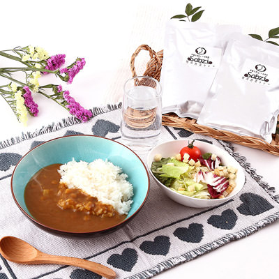 福岡のカレー専門店「Sabzi」オリジナル野菜カレー（8食入り） 【北海道・沖縄・離島 配送不可】