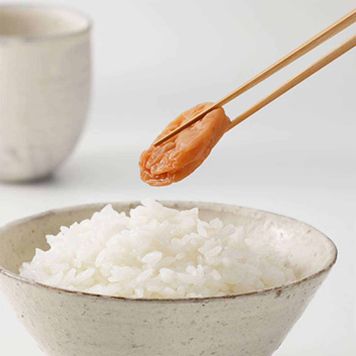 紀州南高梅 種ぬき梅〔400g〕