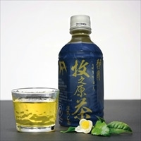 静岡 牧之原茶 雫茶 プレミアム ペットボトル やぶきた 〔350ml×24〕