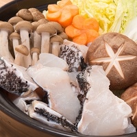 石川水産 長崎県対馬産 天然の幻の魚 高級魚 クエ鍋セット〔クエ切り身鍋用700g〕