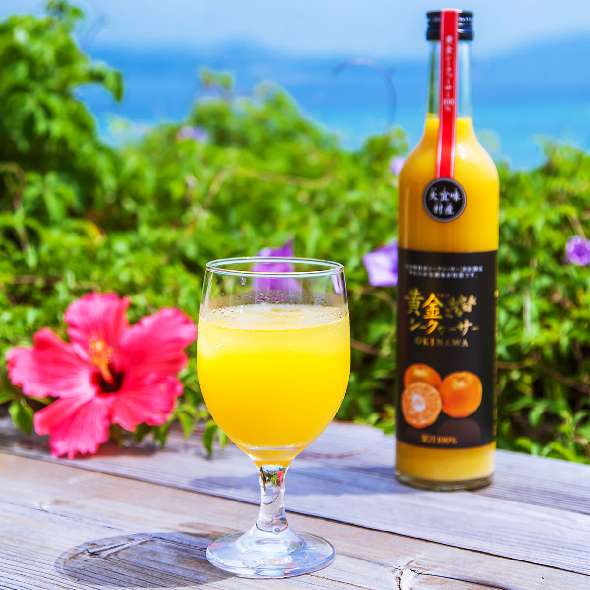 大宜味村産シークワーサー 飲みくらべセット 〔青切500ml・黄金500ml〕