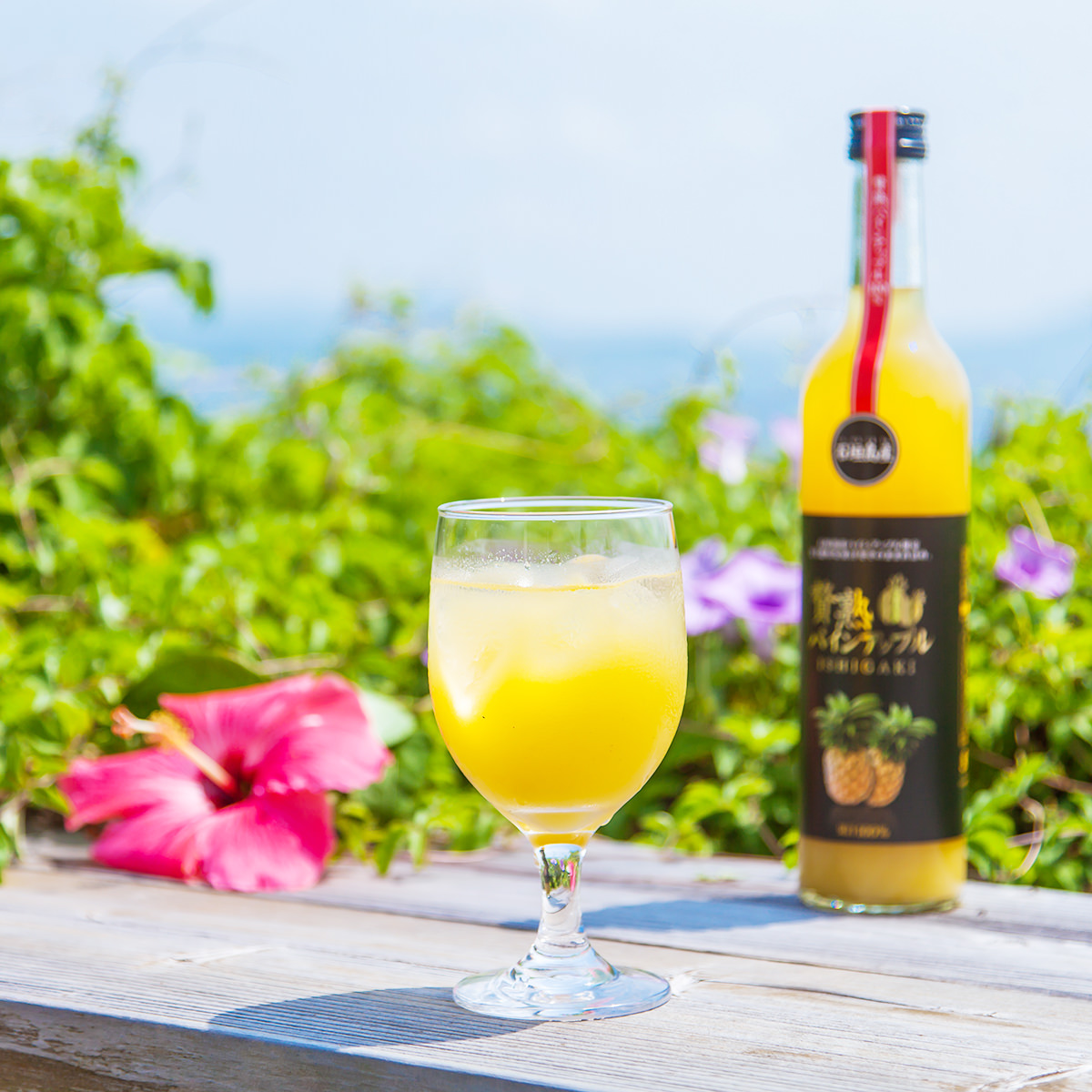 贅熟 石垣島産パインアップルジュース100％ 2本 セット 〔500ml×2〕