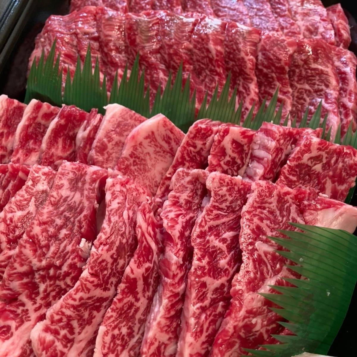 淡路牛 焼肉セット 〔淡路牛バラ焼肉250g・淡路牛赤身焼肉250g、牛脂×1〕