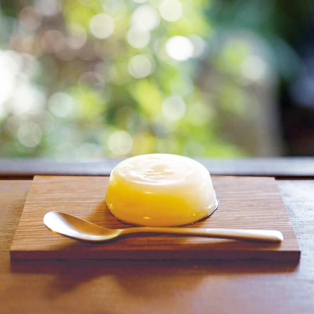 葉山夏みかん 夏柑くずもち 〔6個×2〕