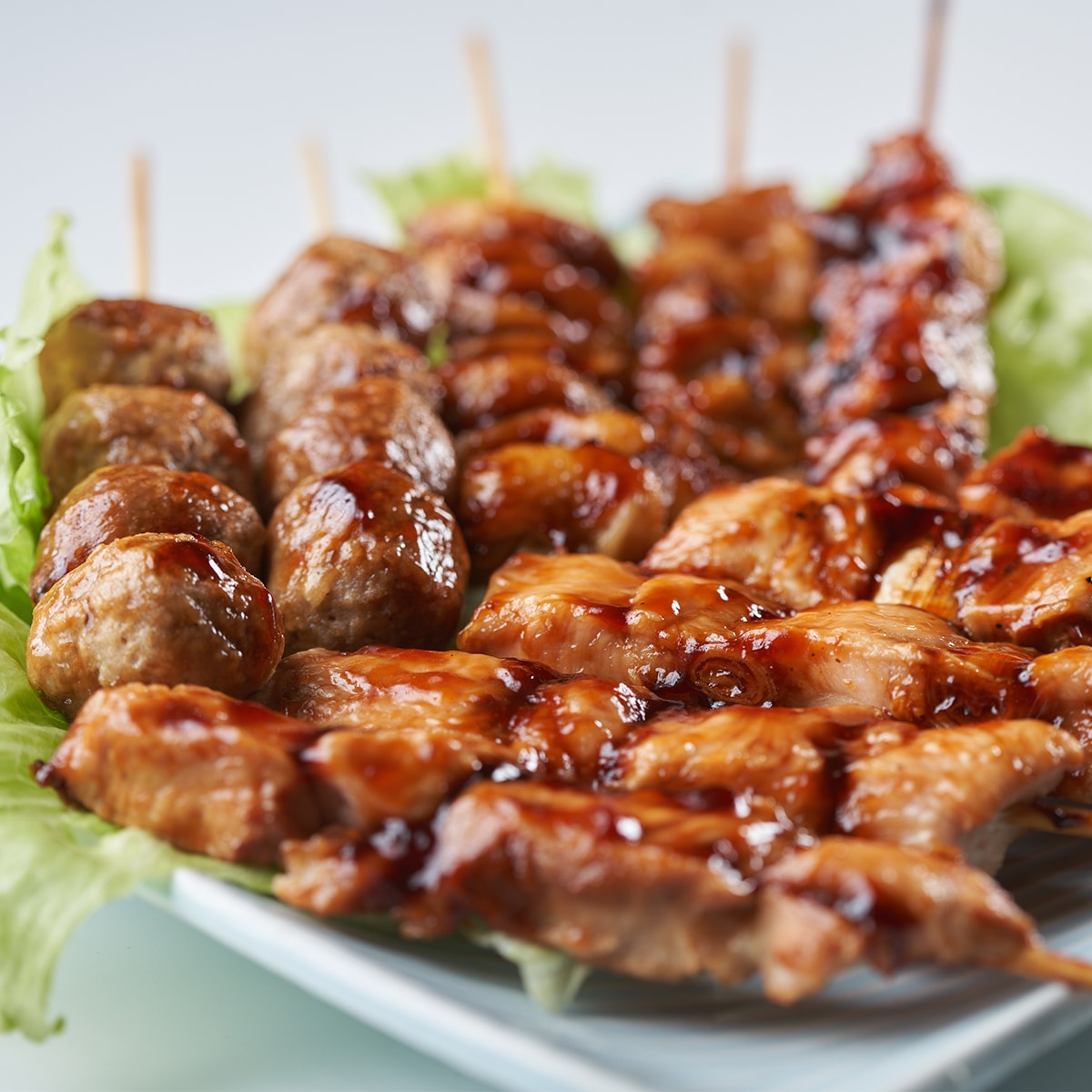 国産焼鳥盛り合わせ タレ付加熱済タイプ 1P 〔ムネネギ50g×3・ムネ身串50g×3・皮串40g×2・つくね串50g×2〕【北海道・沖縄・離島 お届け不可】