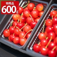 アンスリーファーム 佐藤錦 Lサイズ以上 特秀品 ギフト〔300g×2〕［沖縄県・離島 配送不可］