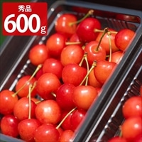 アンスリーファーム 佐藤錦 Lサイズ以上 秀品 ギフト〔300g×2〕［沖縄県・離島 配送不可］