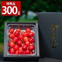 アンスリーファーム 佐藤錦 Lサイズ以上 特秀品 ギフト〔300g〕［沖縄県・離島 配送不可］