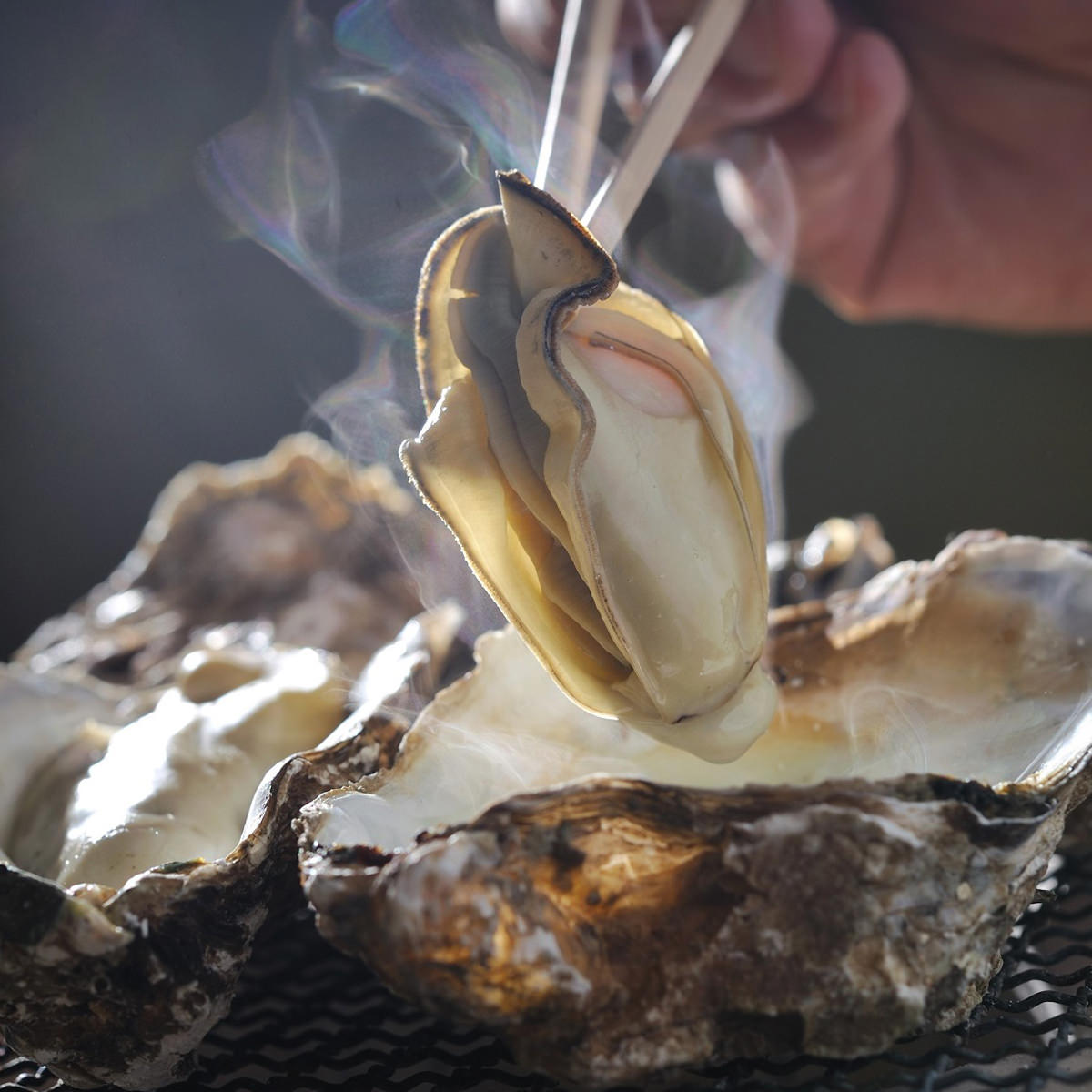 かなわ 冷凍殻付かき15個 レンジ袋入 〔5個入×3〕