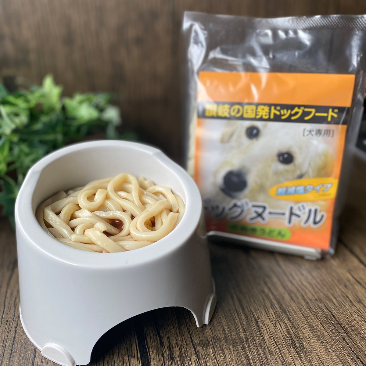 ペット用 ドッグヌードル 〔(めん150g、スープ5g)×3〕