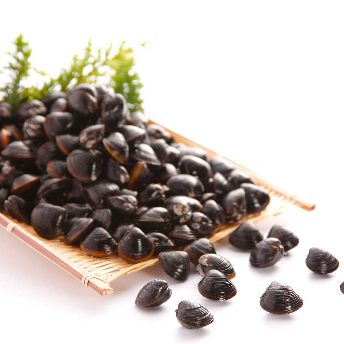 宍道湖産 大和しじみ 冷凍 大粒 〔500g×4〕