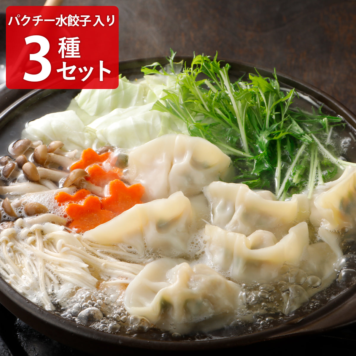 巣鴨餃子 清緑園 水餃子 パクチー水餃子 海老餃子 〔(水餃子×12個)×2・パクチー水餃子×12個・海老餃子約36g×8個〕