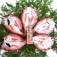 一日漁 のどぐろ 一夜干し 天日塩 岡富商店〔5～6枚 計410g〕