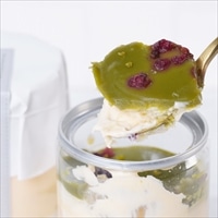 白金ホワイトティラミス缶 ピスタチオ〔(高さ97mm、底径48mm)×4〕