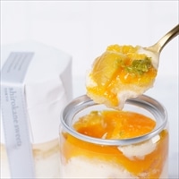 白金ホワイトティラミス缶 マンゴーオレンジ〔(高さ97mm、底径48mm)×4〕