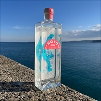 のとジン スピリッツ〔500ml〕
