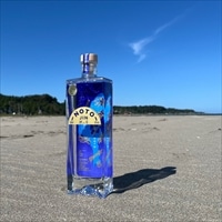 のとジン 願い星 クラフトジン〔500ml〕