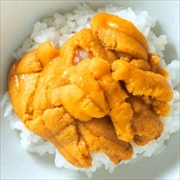 uoya 片倉商店 宮城県産 冷凍うに 金華うに 雪幻〔100g〕