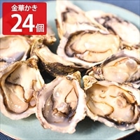 uoya 片倉商店 女川オイスターファーム 宮城産 金華かき〔Mサイズ(約50～60g)×24〕
