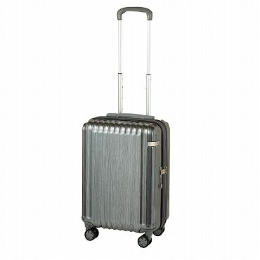 ace.／エース パリセイドZd エキスパンド機能 機内持ち込み  33L/40L 06816