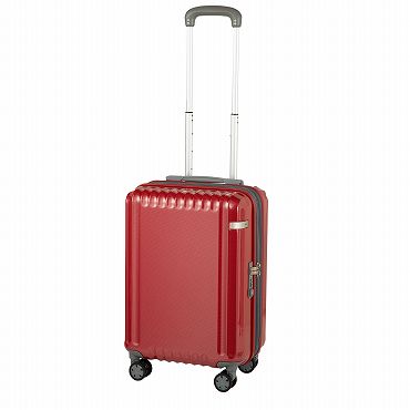 ace.／エース パリセイドZd エキスパンド機能 機内持ち込み  33L/40L 06816