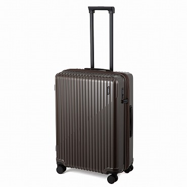 ACE/エース クレスタS スーツケース  60/73L 拡張 09162