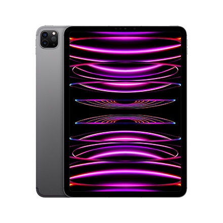 iPad Pro 11インチ 256GB スペースグレイ Cellularモデル申し訳ございません