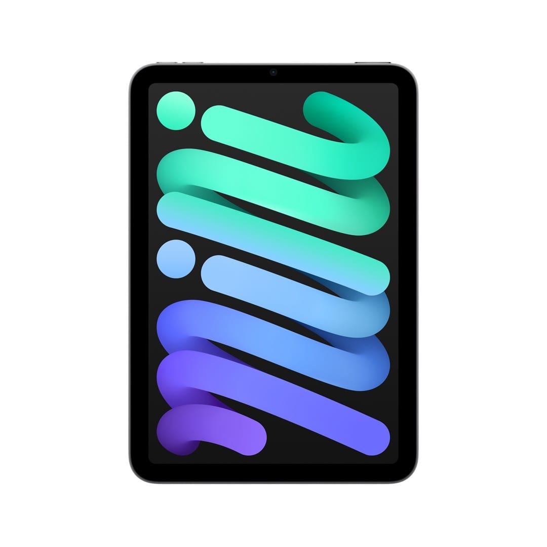 iPad mini Wi-Fiモデル 256GB - スペースグレイ